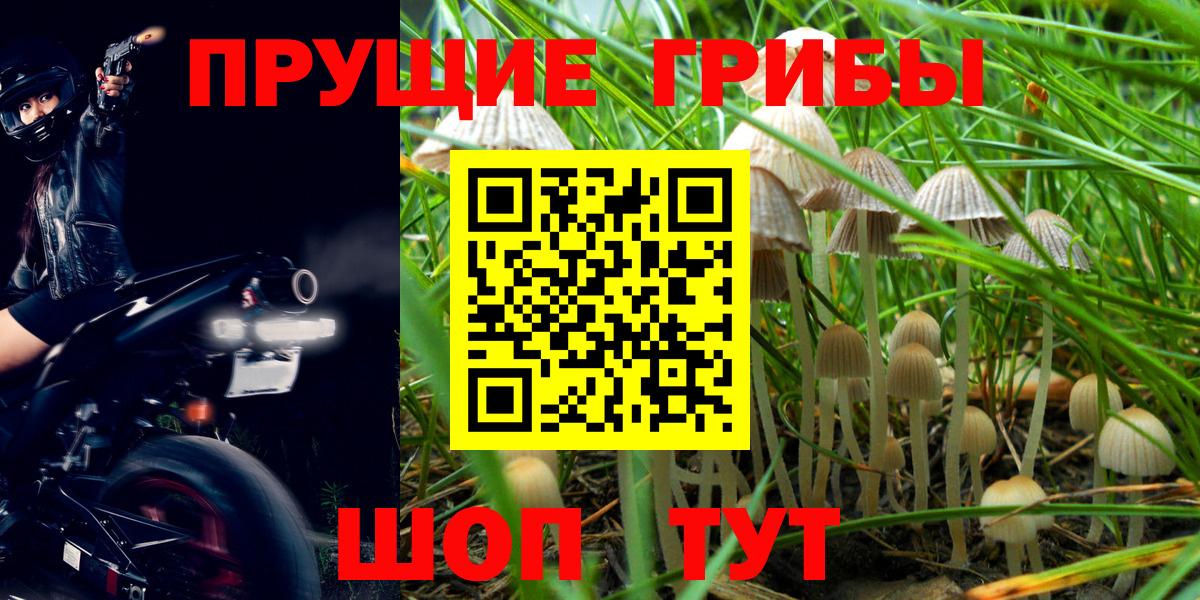 Галлюциногенные грибы GOLDEN TEACHER  Вход с VPN  Кстово 