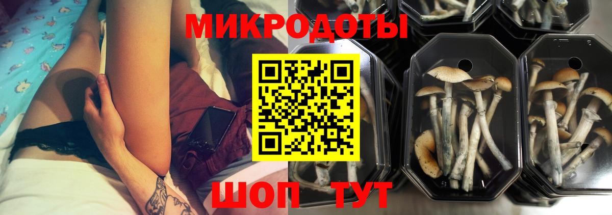 Галлюциногенные грибы Magic Shrooms Кстово